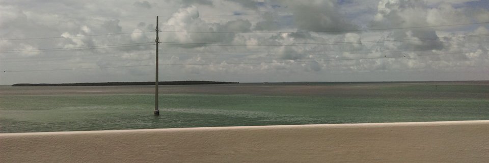 Randy Randerson banner