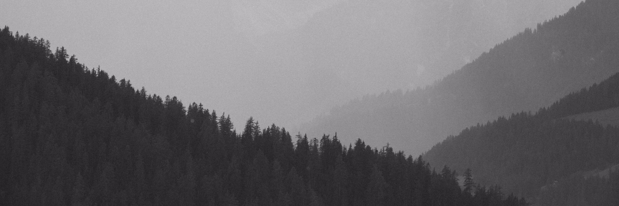mega_wookiee's profile banner image
