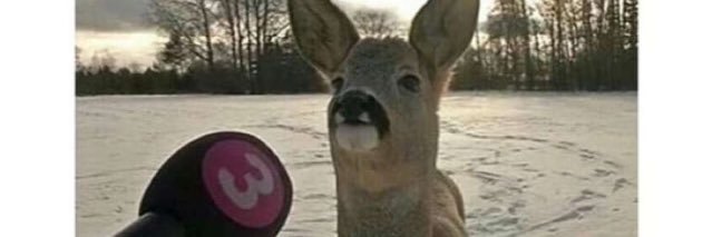 _TheFunnyJoke's profile banner image