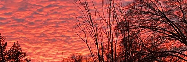 VLL4DEE_ Profile Banner