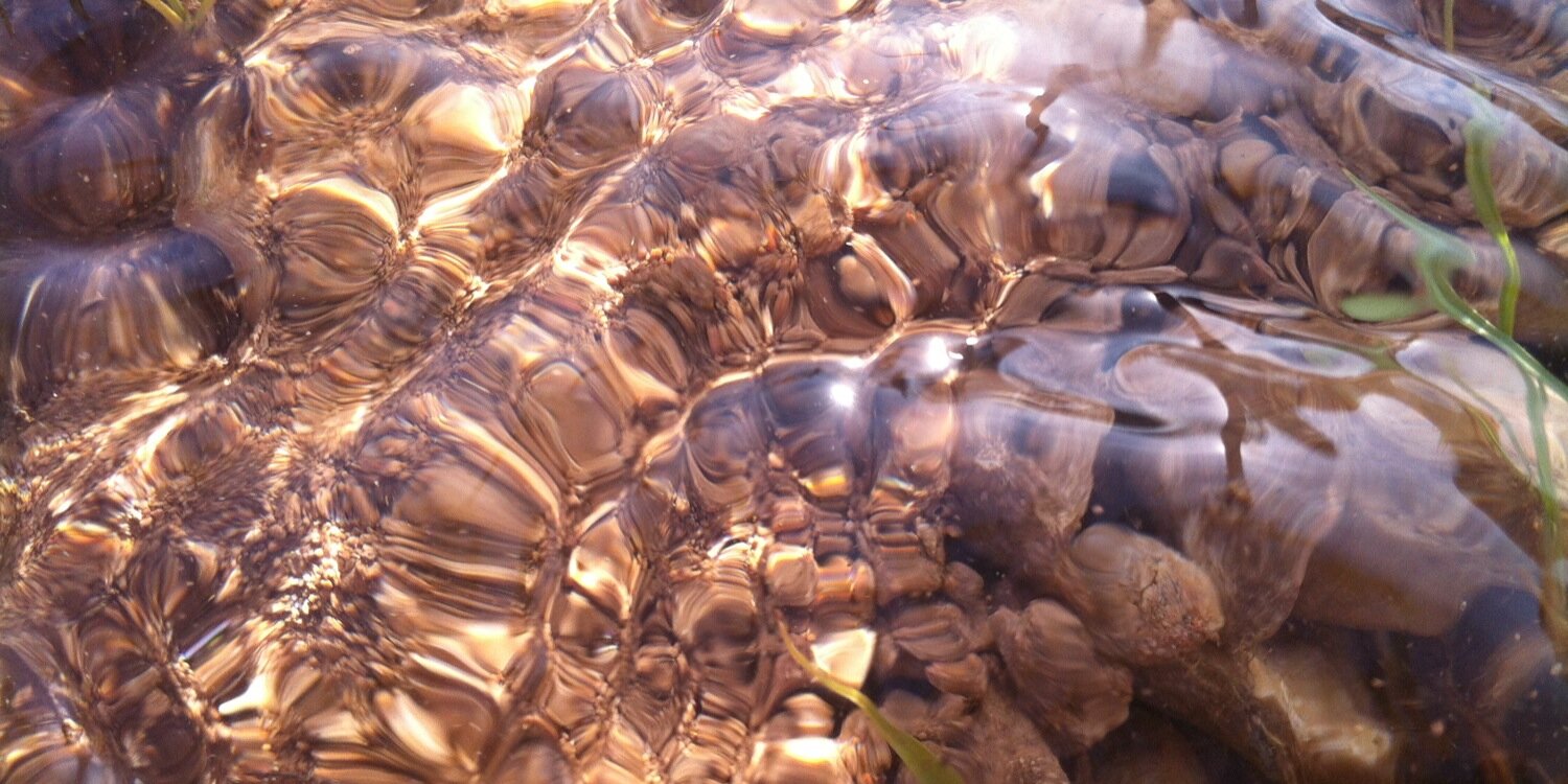 pepetelx's profile banner image