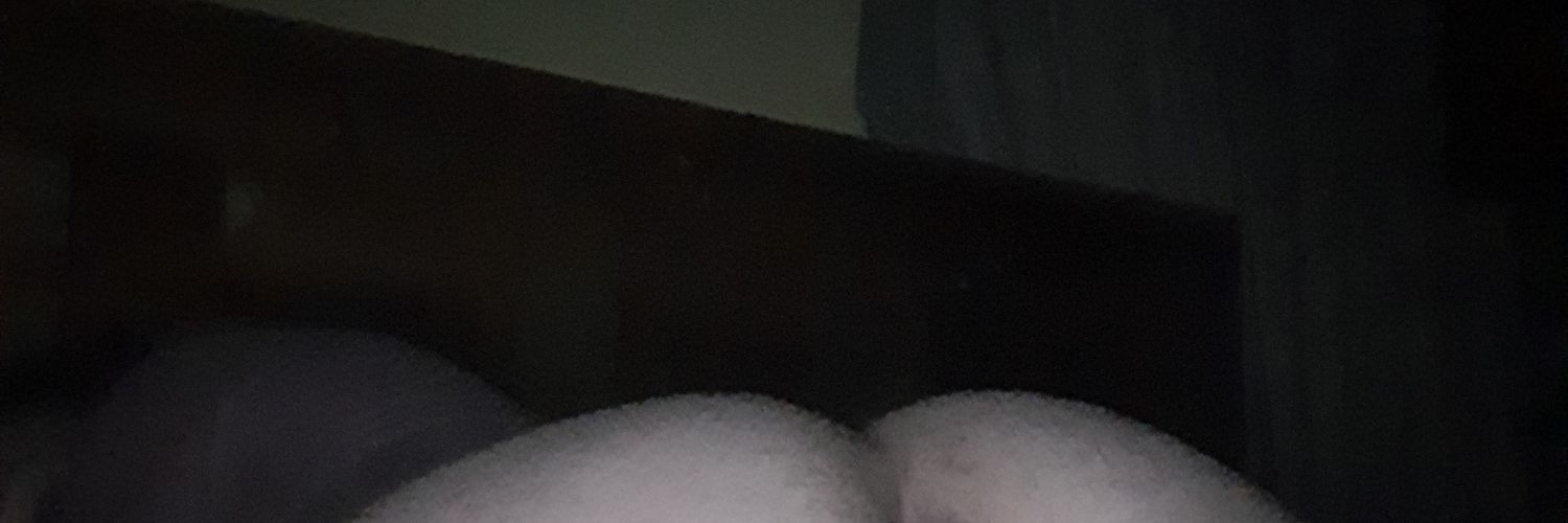 PeterRobbert3's profile banner image