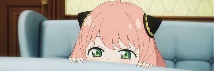walkicita's profile banner image