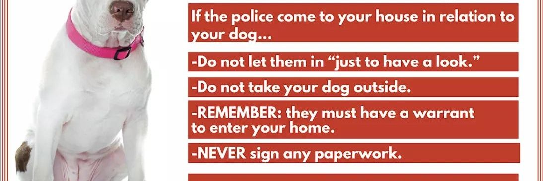 Save Our Seized Dogs banner