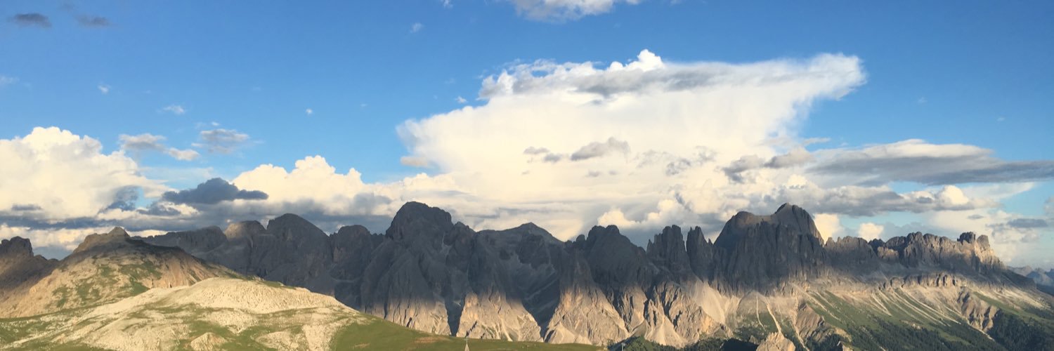 Honischblume's profile banner image
