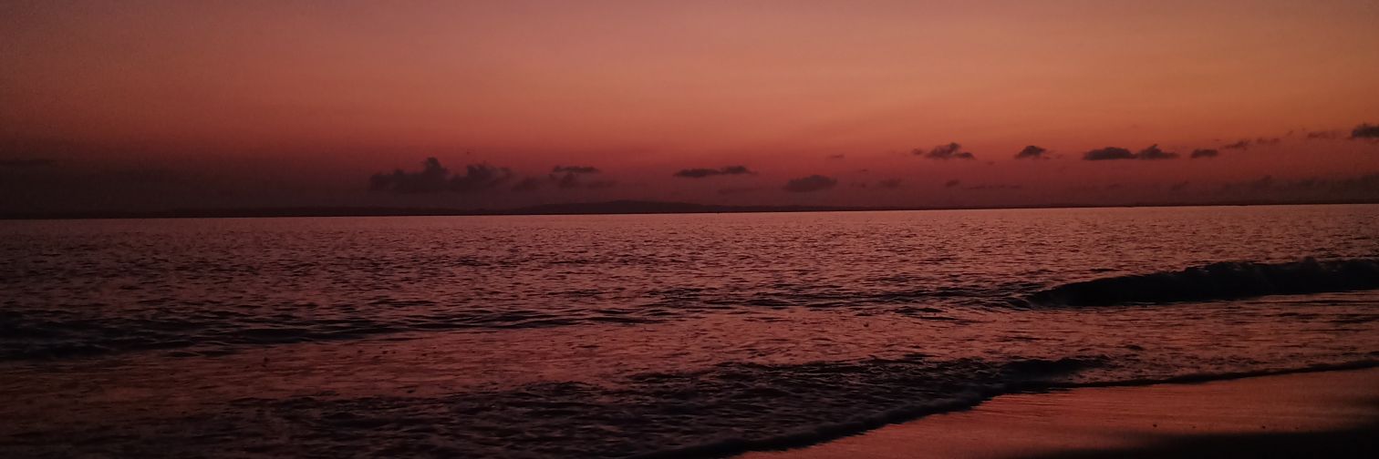 damselskey's profile banner image