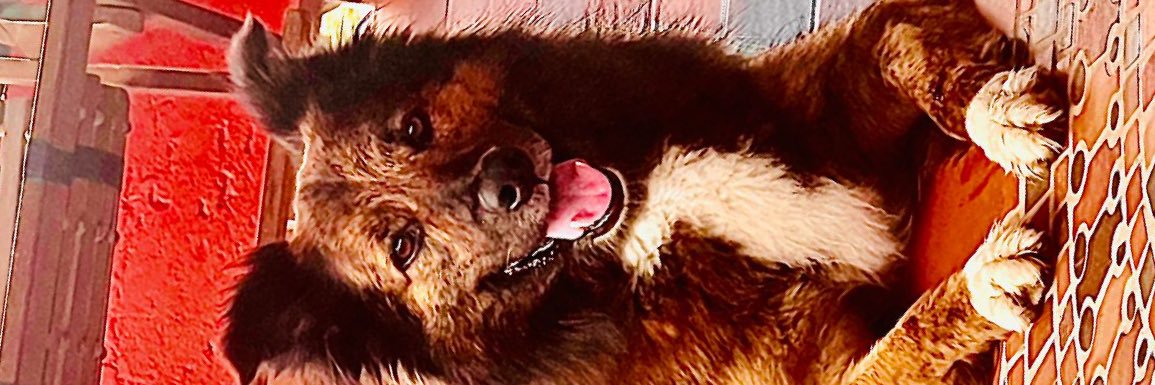 edarcabo's profile banner image