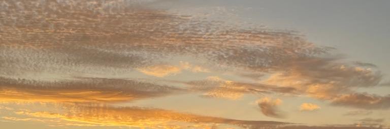 beadriiix_'s profile banner image