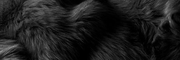 trepaha's profile banner image