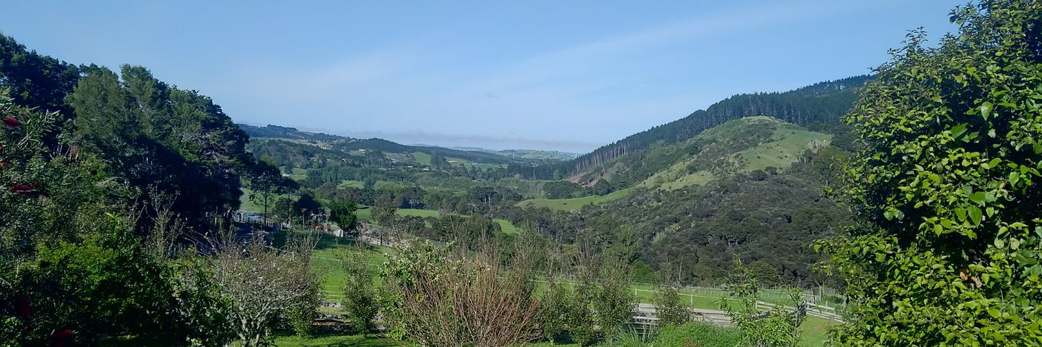 Mieko ニュージーランド看護師🇳🇿 banner