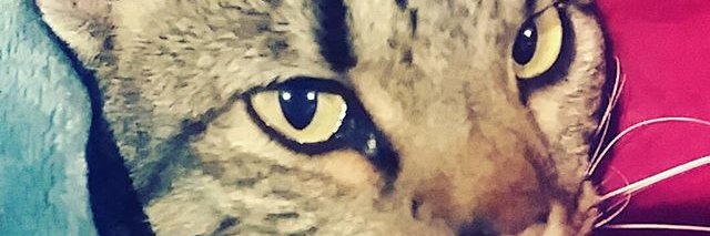 Panic410's profile banner image