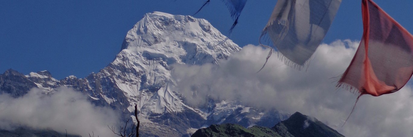 Rk_Go_green's profile banner image