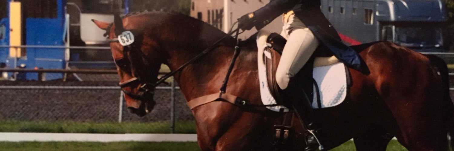 RGodleman's profile banner image