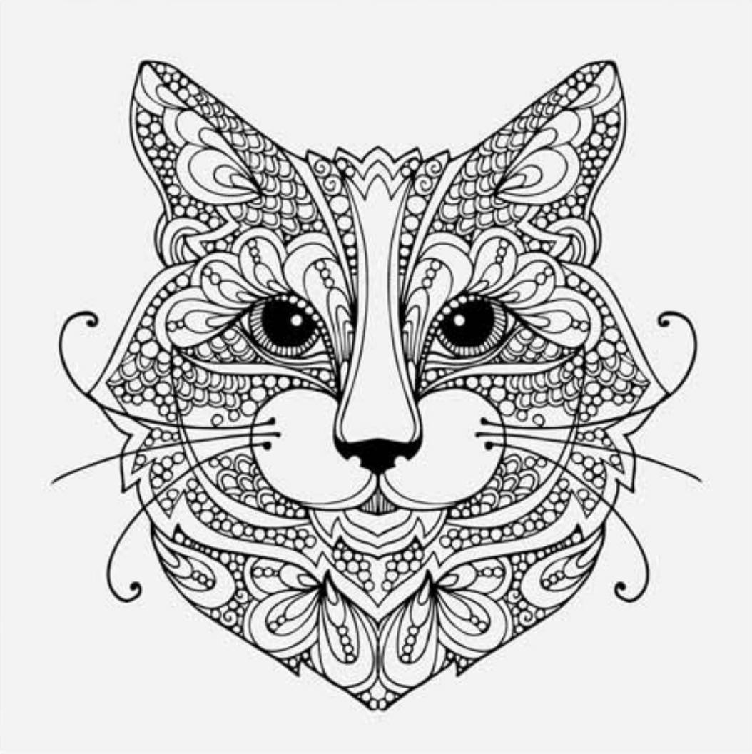 rabanayeh's profile banner image