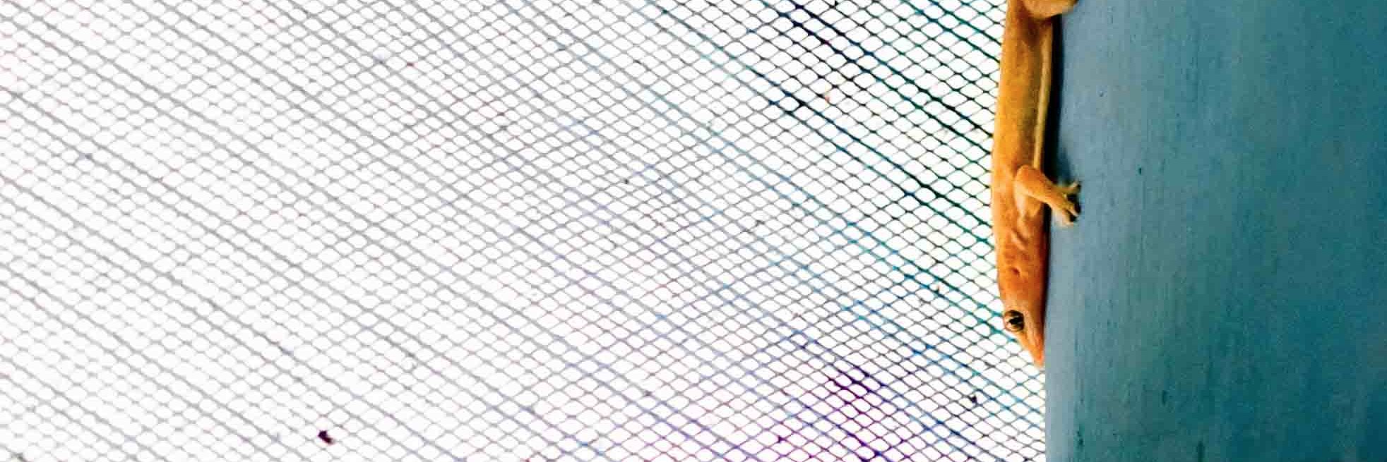 lawmurray's profile banner image