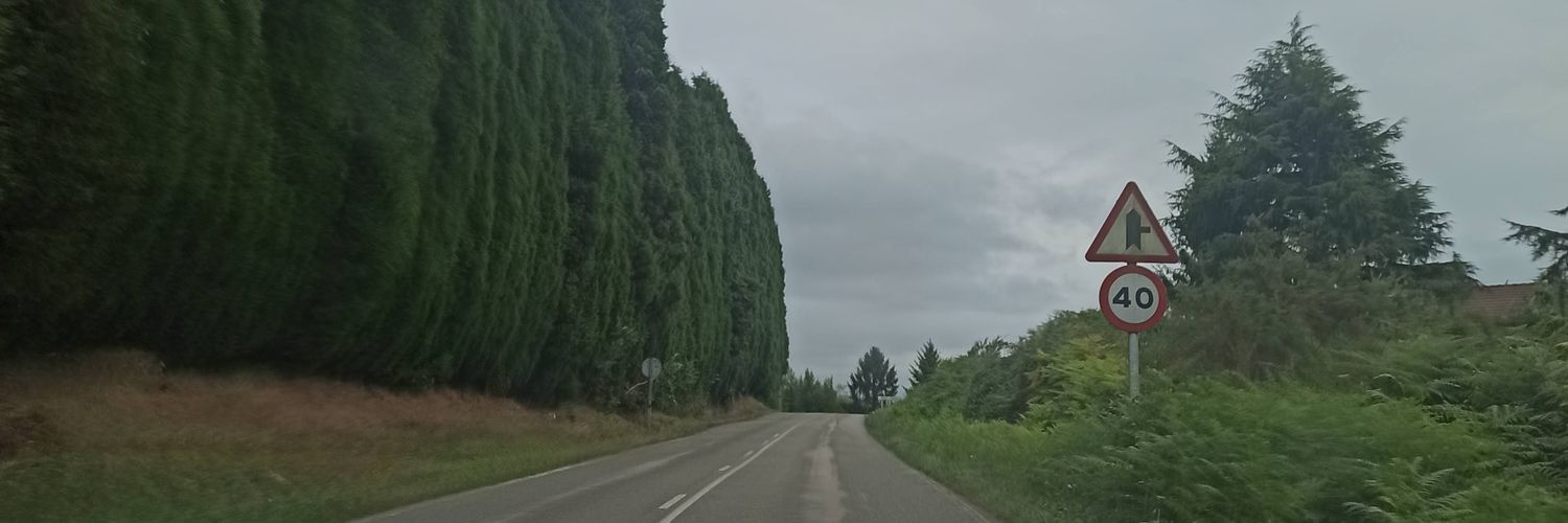 fern_jc's profile banner image