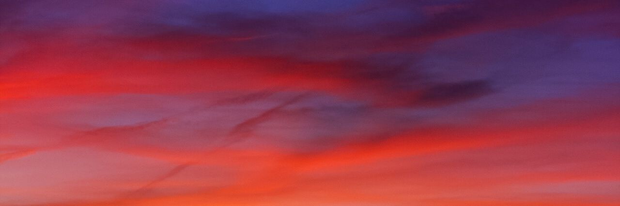 Elena_EAS's profile banner image
