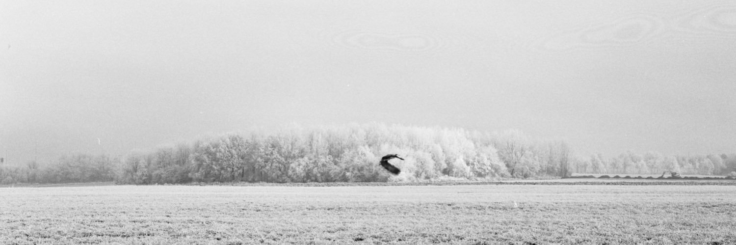 AaronStaune's profile banner image