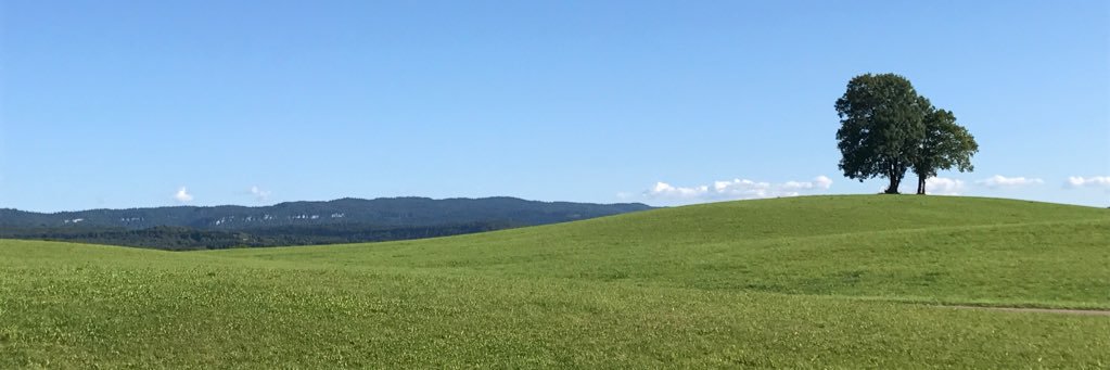 Pierre-Etienne Jault banner