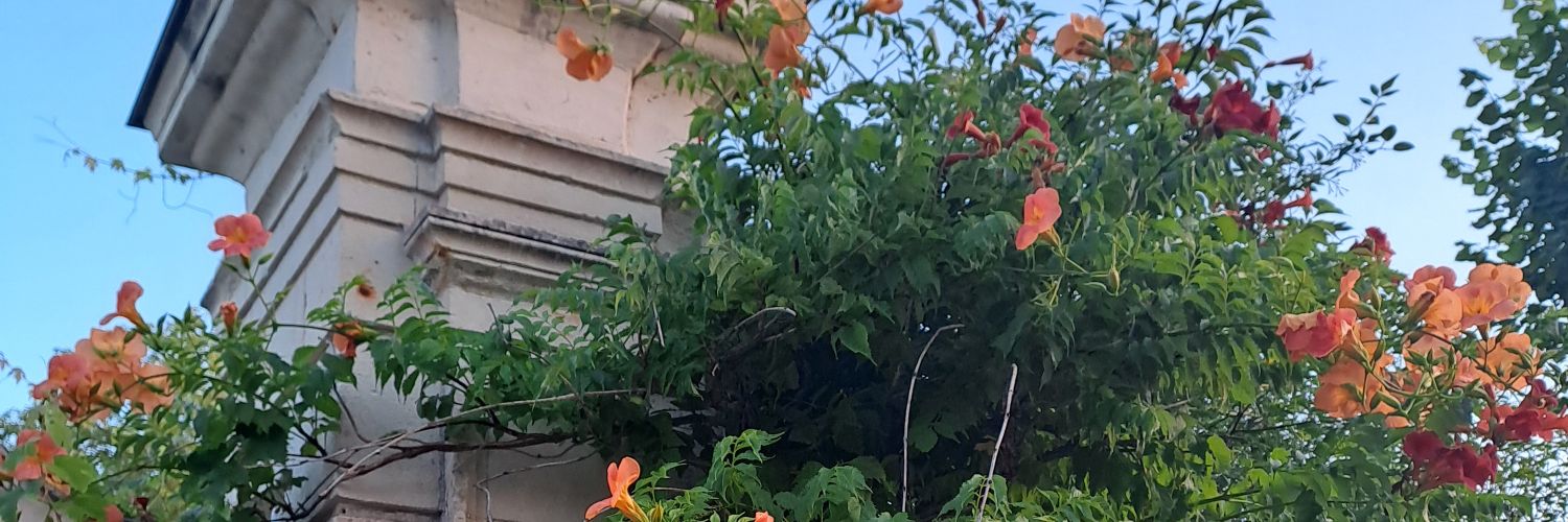 celine_mrt_'s profile banner image