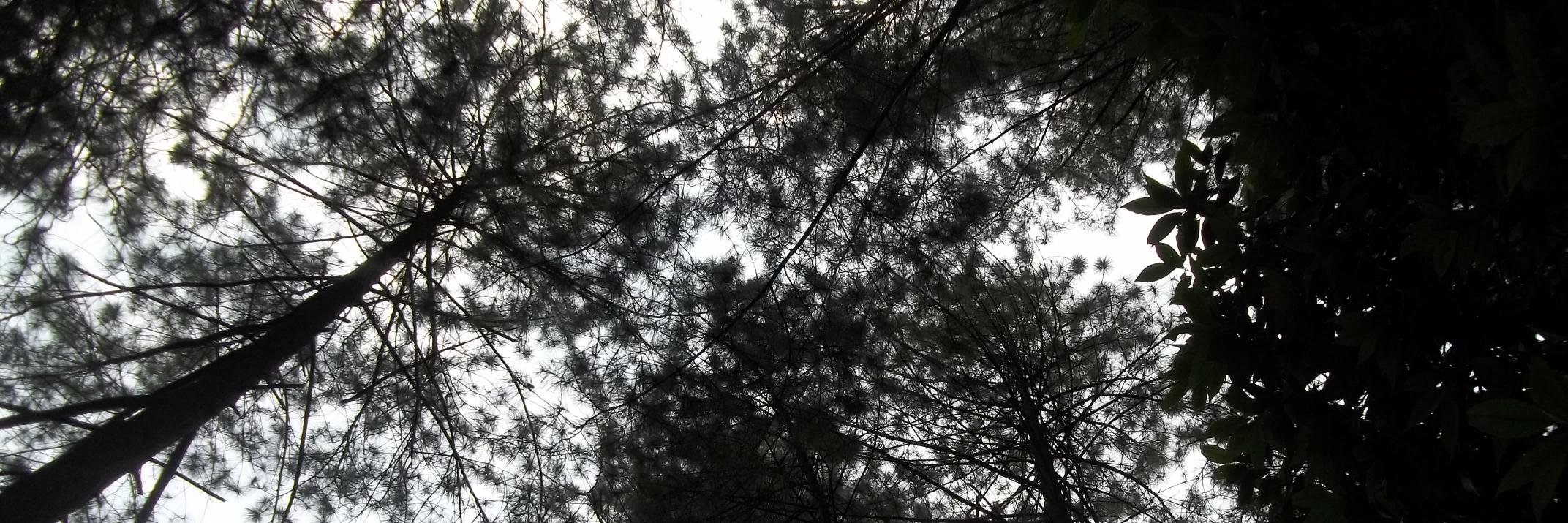 onurulp's profile banner image
