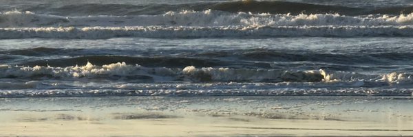 paulorfdrocha Profile Banner