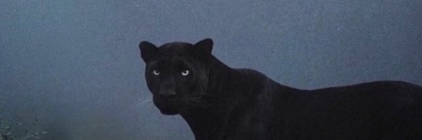 masmills's profile banner image
