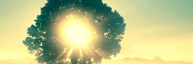 Daniel_Stander's profile banner image