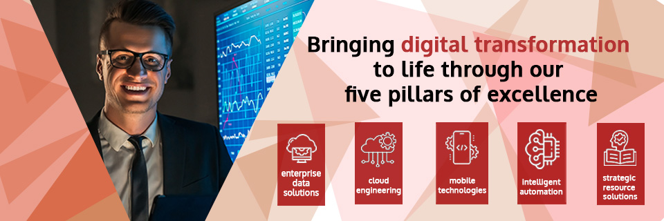 Primus Software Corporation banner