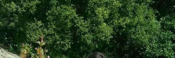 FeroDonean's profile banner image