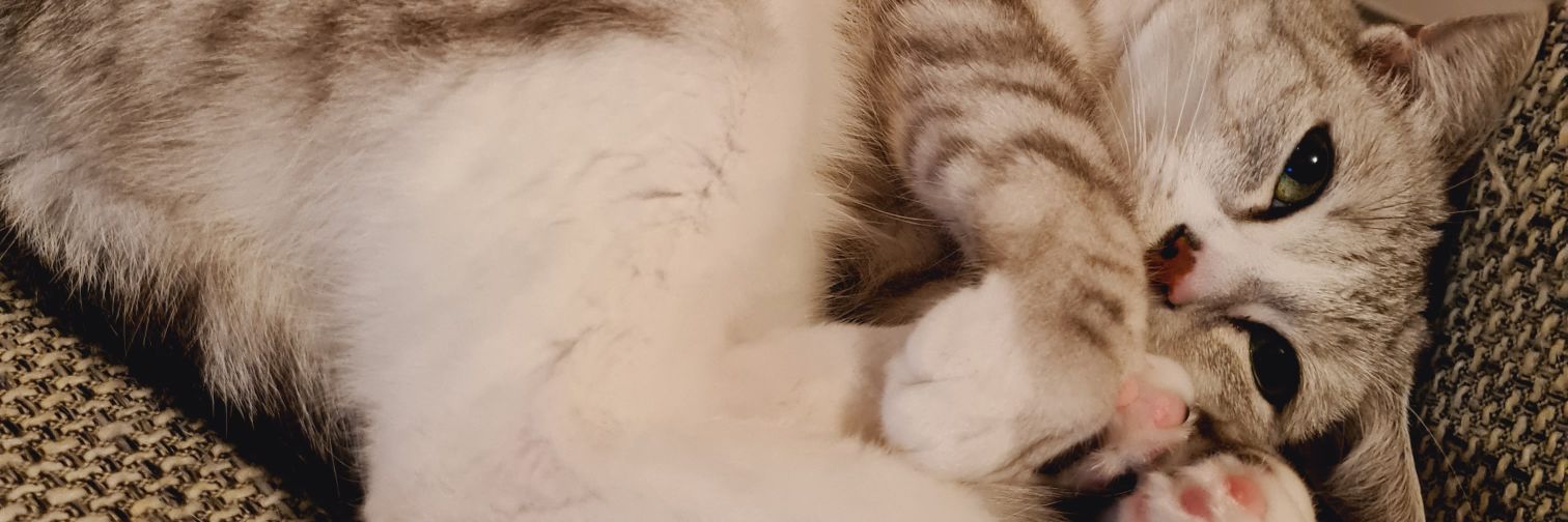 JustiyneG's profile banner image
