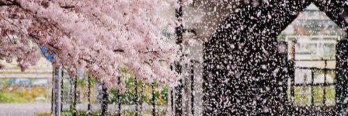 92springdays's profile banner image