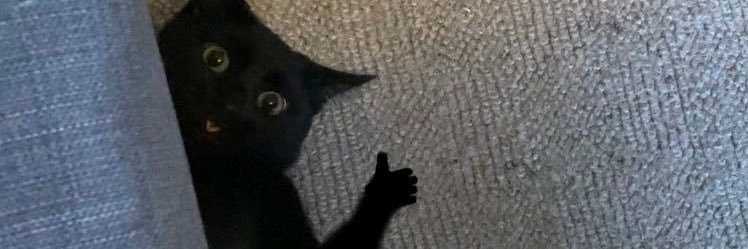 ✨ 𝓛𝓚 ✨ banner