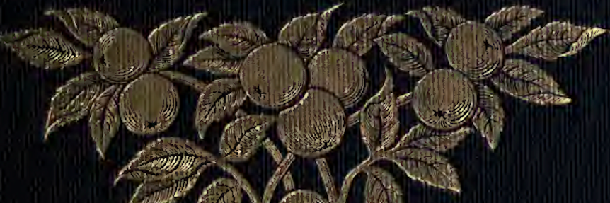 TimBurmanMN's profile banner image