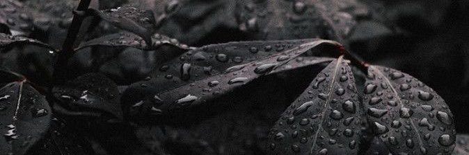 haninaljaf's profile banner image