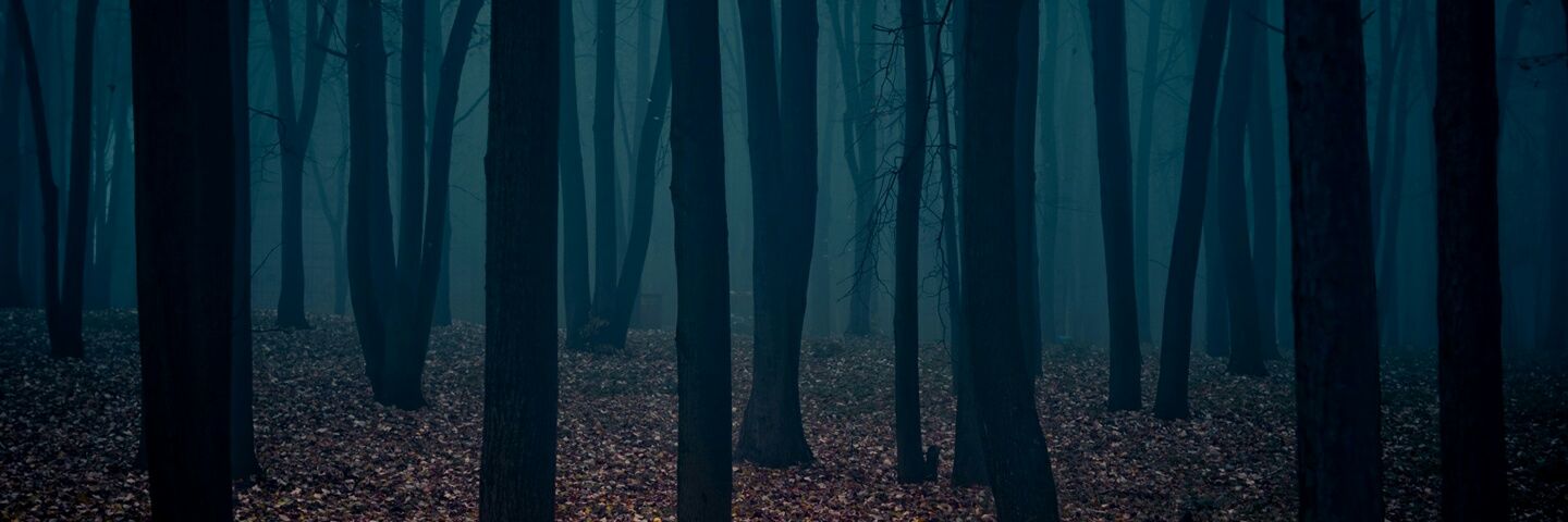 Sifryn_'s profile banner image