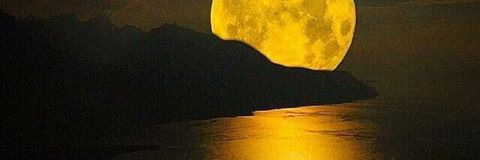 VirginiaMarkle's profile banner image