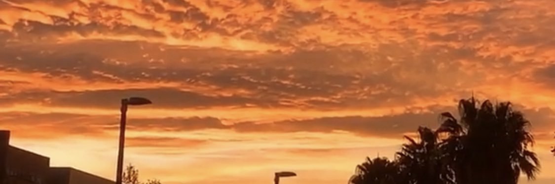 AnselmoLpez1's profile banner image