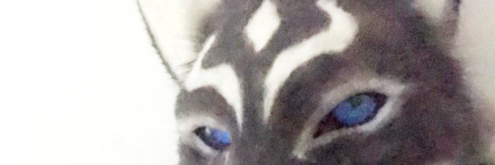 Phantom Spark banner