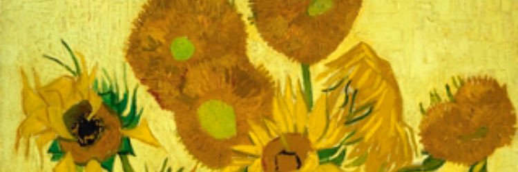 freestarhills's profile banner image