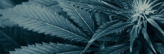 jd_beaman's profile banner image