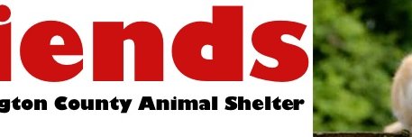 Friends of BCAS banner