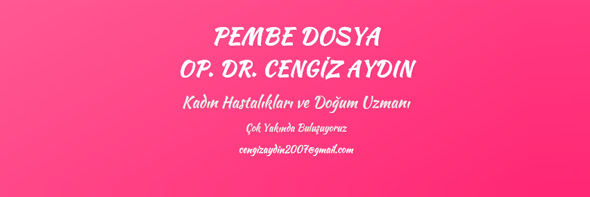 PembeDosya's profile banner image
