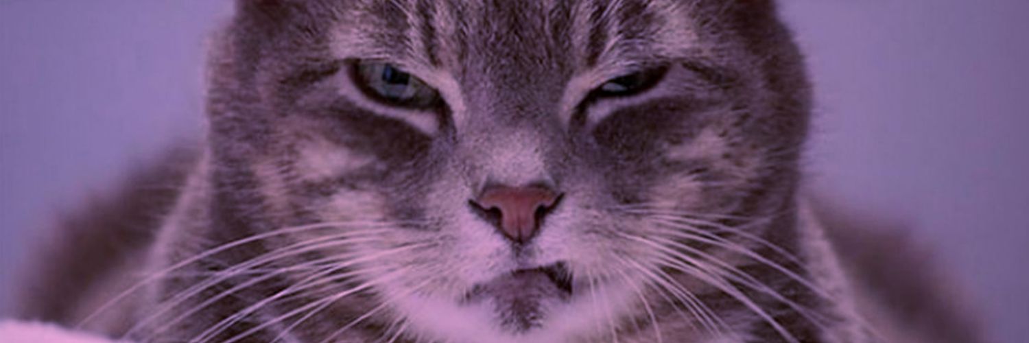 Mbopi_'s profile banner image