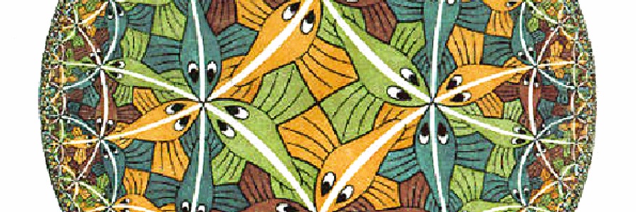 amiteshani's profile banner image