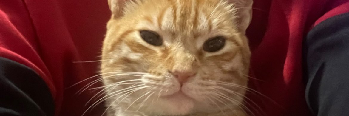 selan97's profile banner image