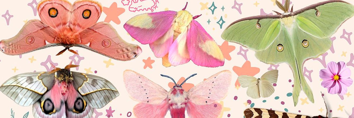 softmetalwings's profile banner image