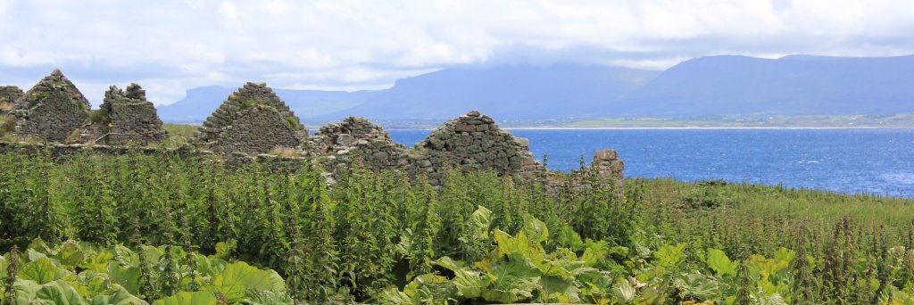 David McFadden 🇪🇺🇺🇦 banner