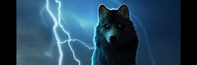 Imsomnia31's profile banner image