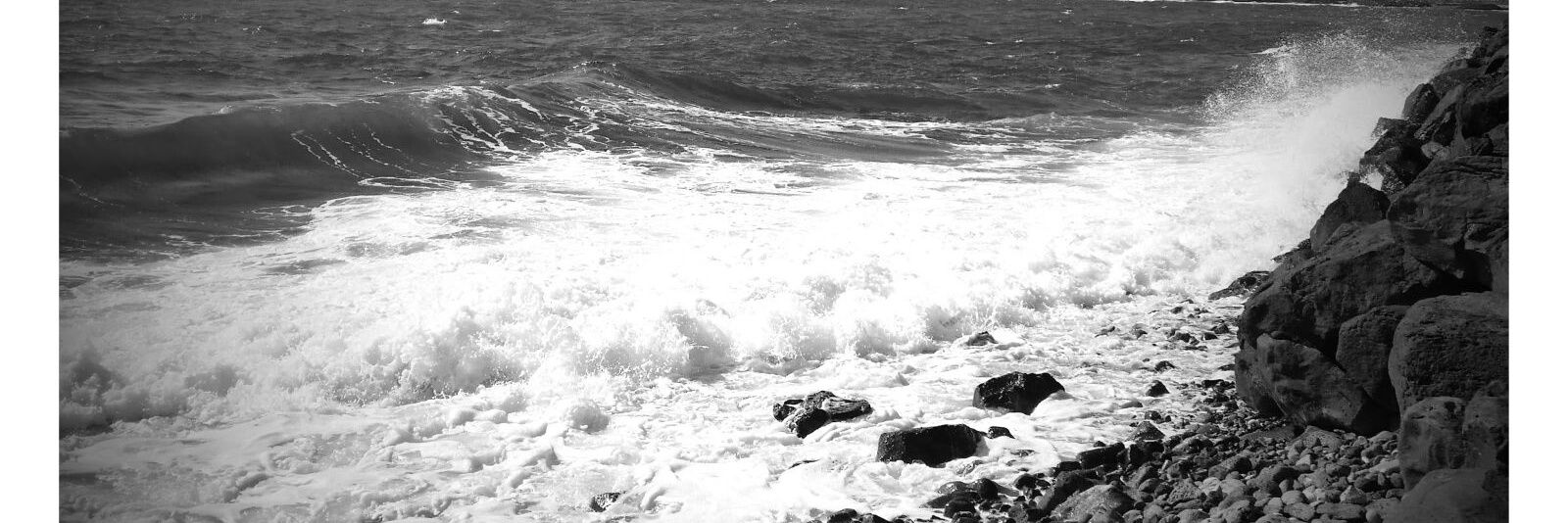 donna_clamp's profile banner image